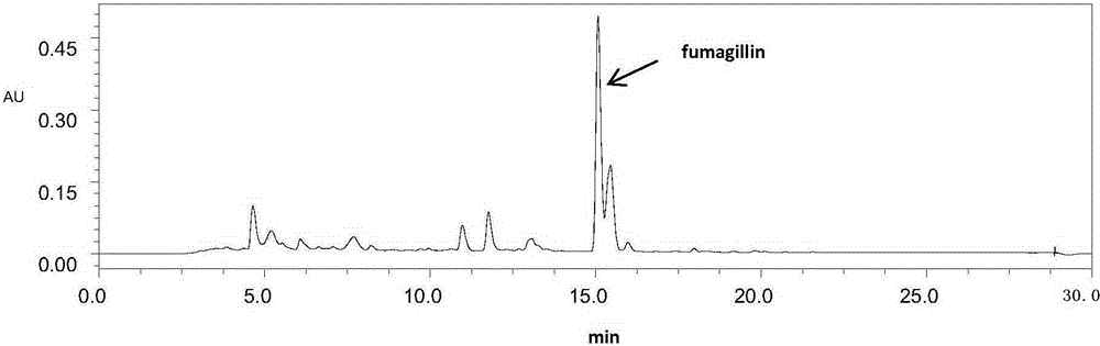 Method for producing fumagillin by aspergillus fumigatus