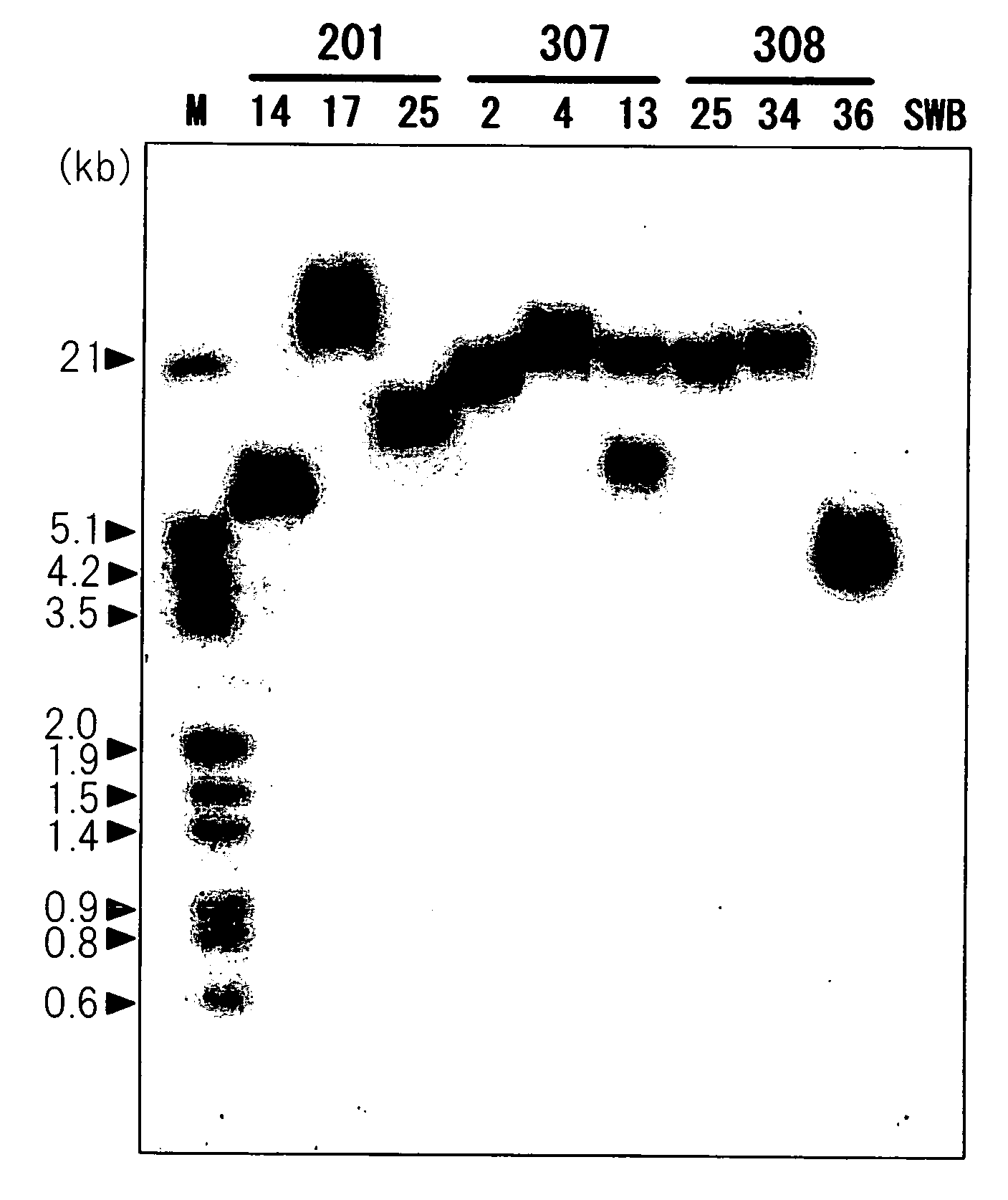Method for Producing Yellow Flower by Controlling Flavonoid Synthetic Pathway