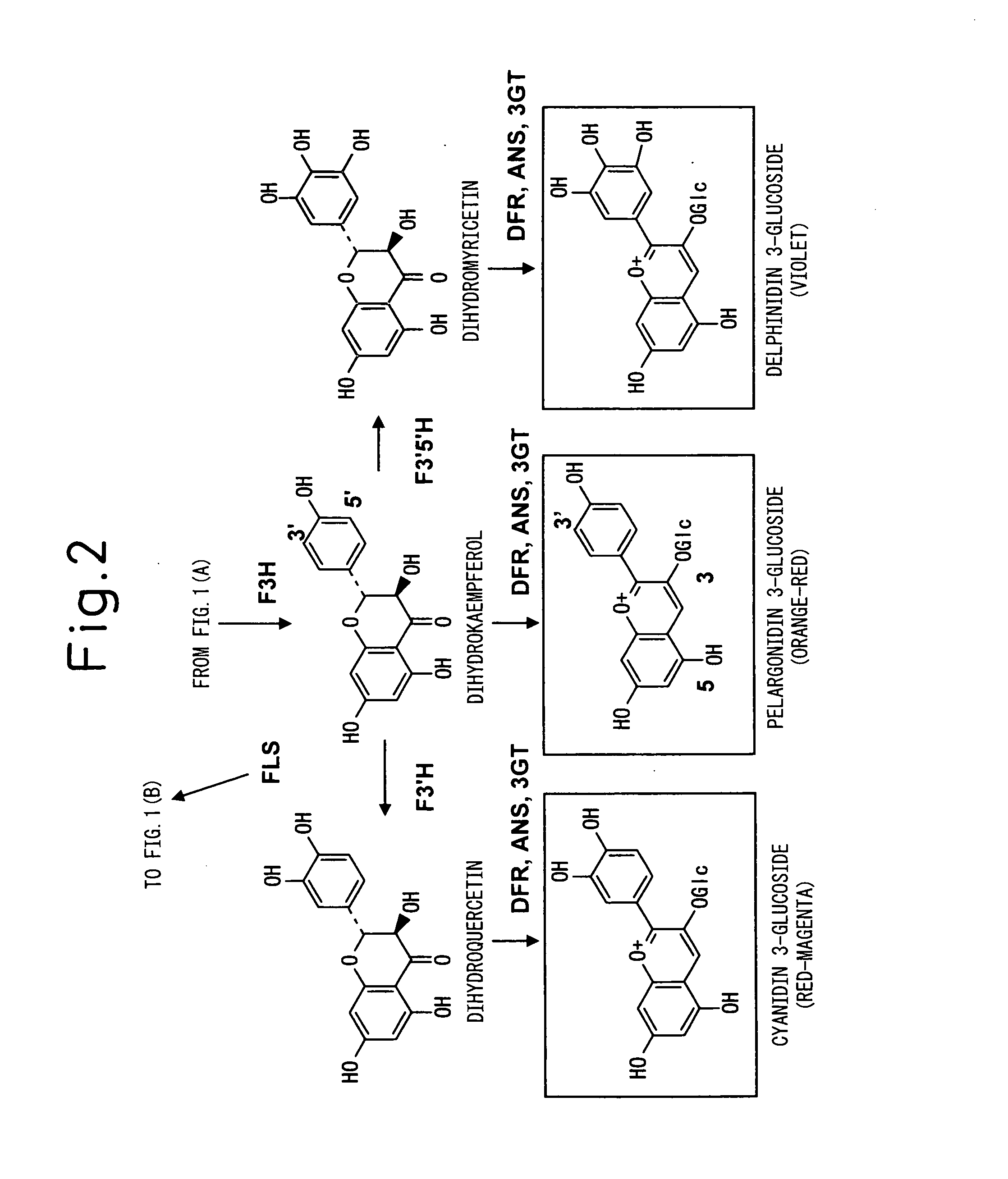 Method for Producing Yellow Flower by Controlling Flavonoid Synthetic Pathway