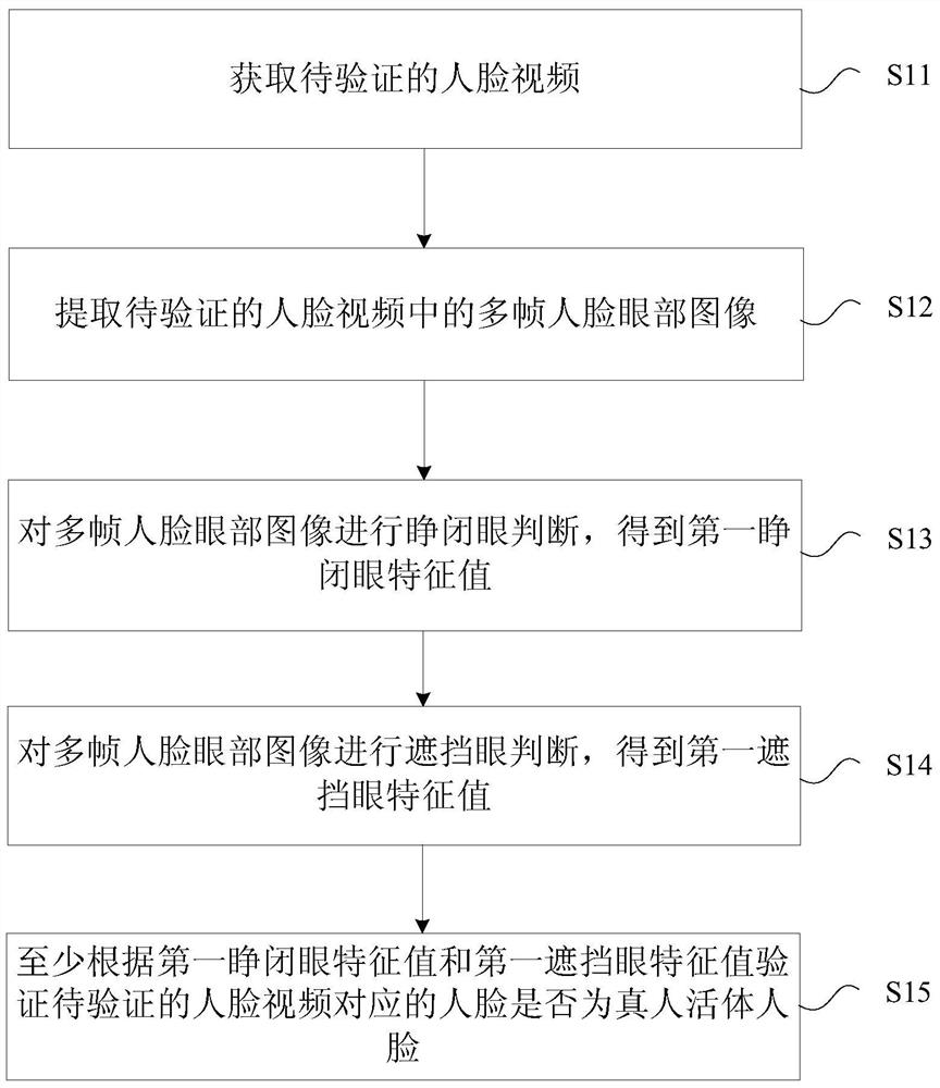 Live body verification method and device