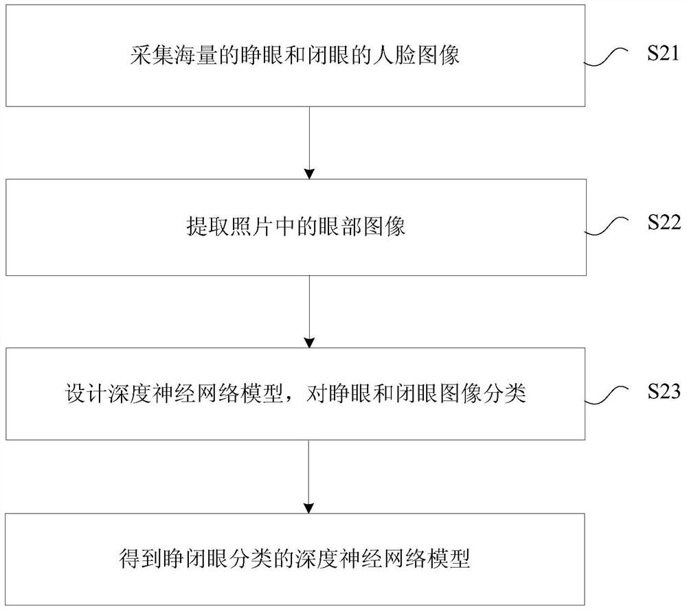 Live body verification method and device