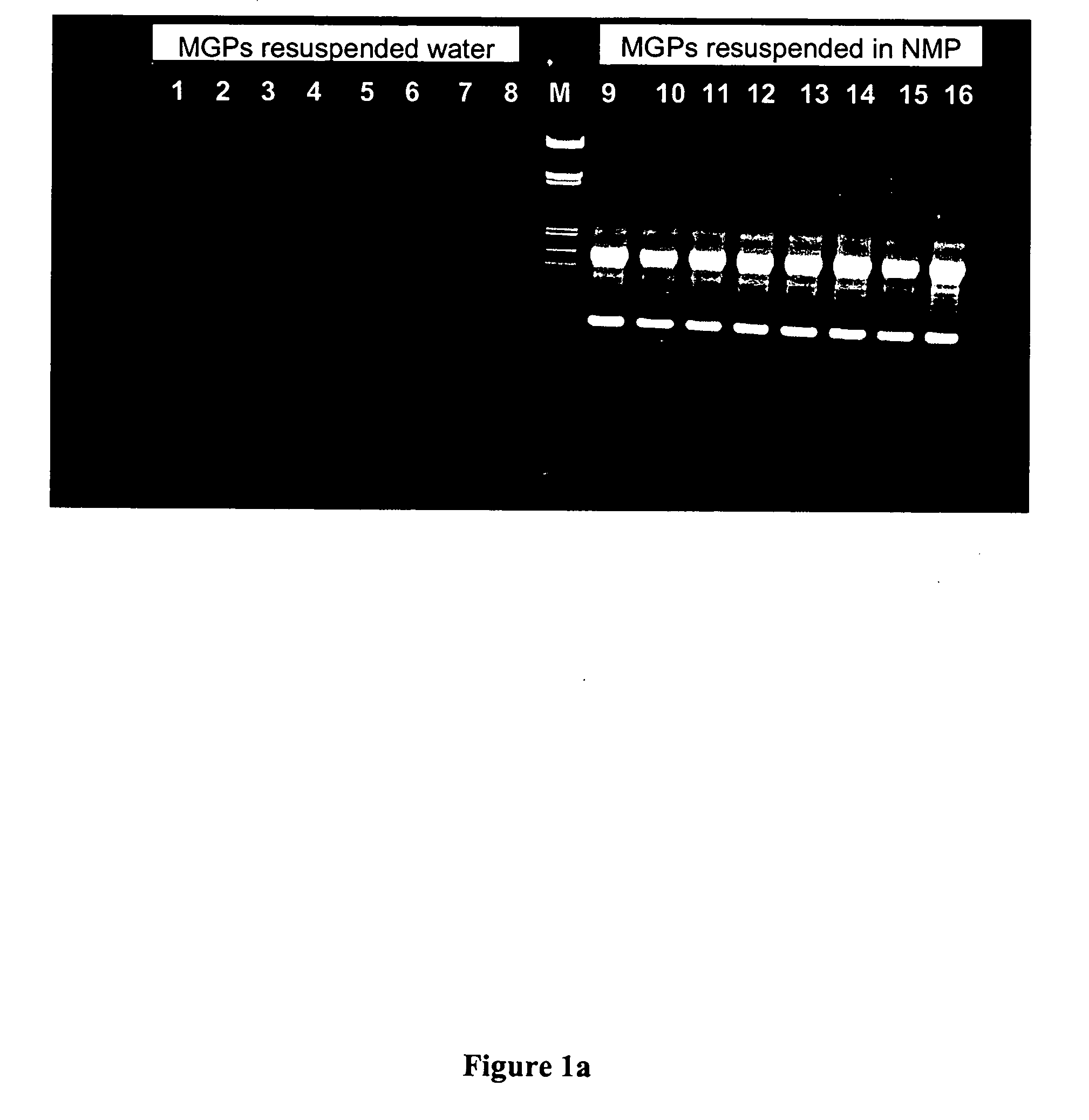 Methods for isolating nucleic acids