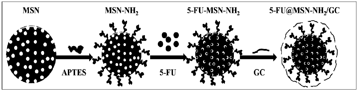 Galactosylated chitosan coated mesoporous silica carrier and application thereof