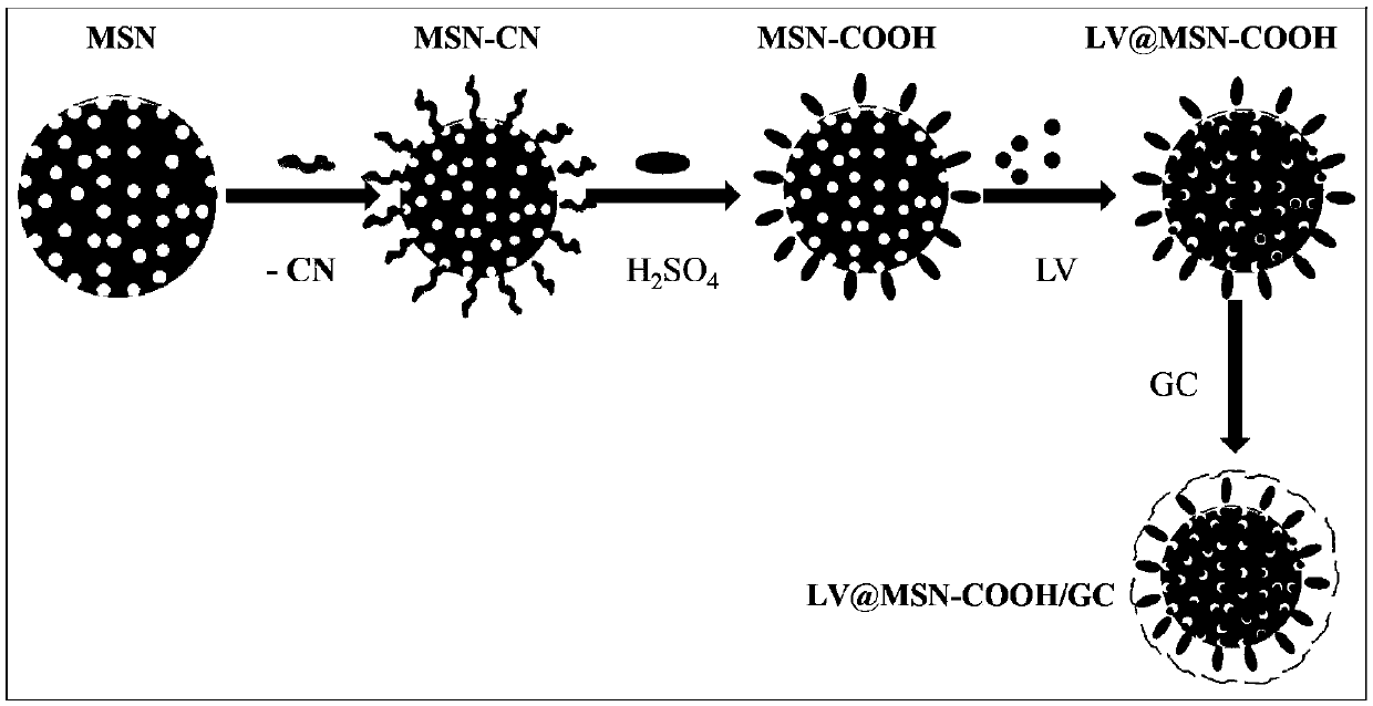 Galactosylated chitosan coated mesoporous silica carrier and application thereof