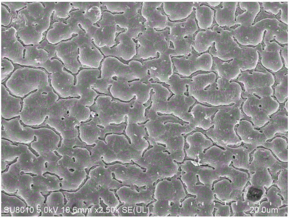 Method for preparing micro-nano composite structure through nanosecond laser induced cracks