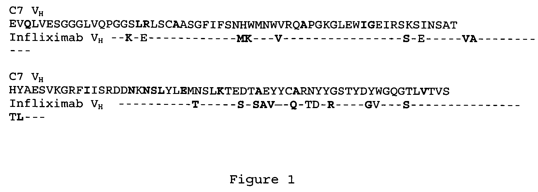 Anti-TNFalpha antibodies