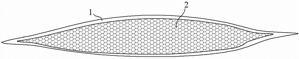 Chitosan filtering membrane