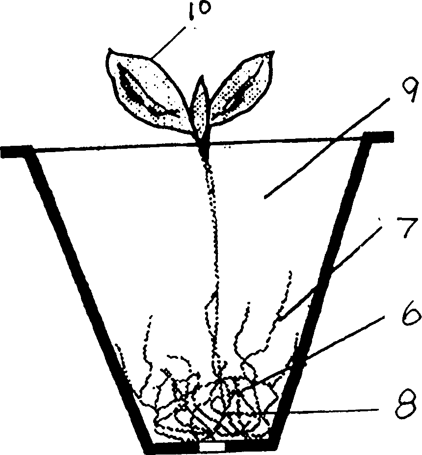 Air root-training seedling-cultivating method and its seedling-cultivating tray or seedling-cultivating container