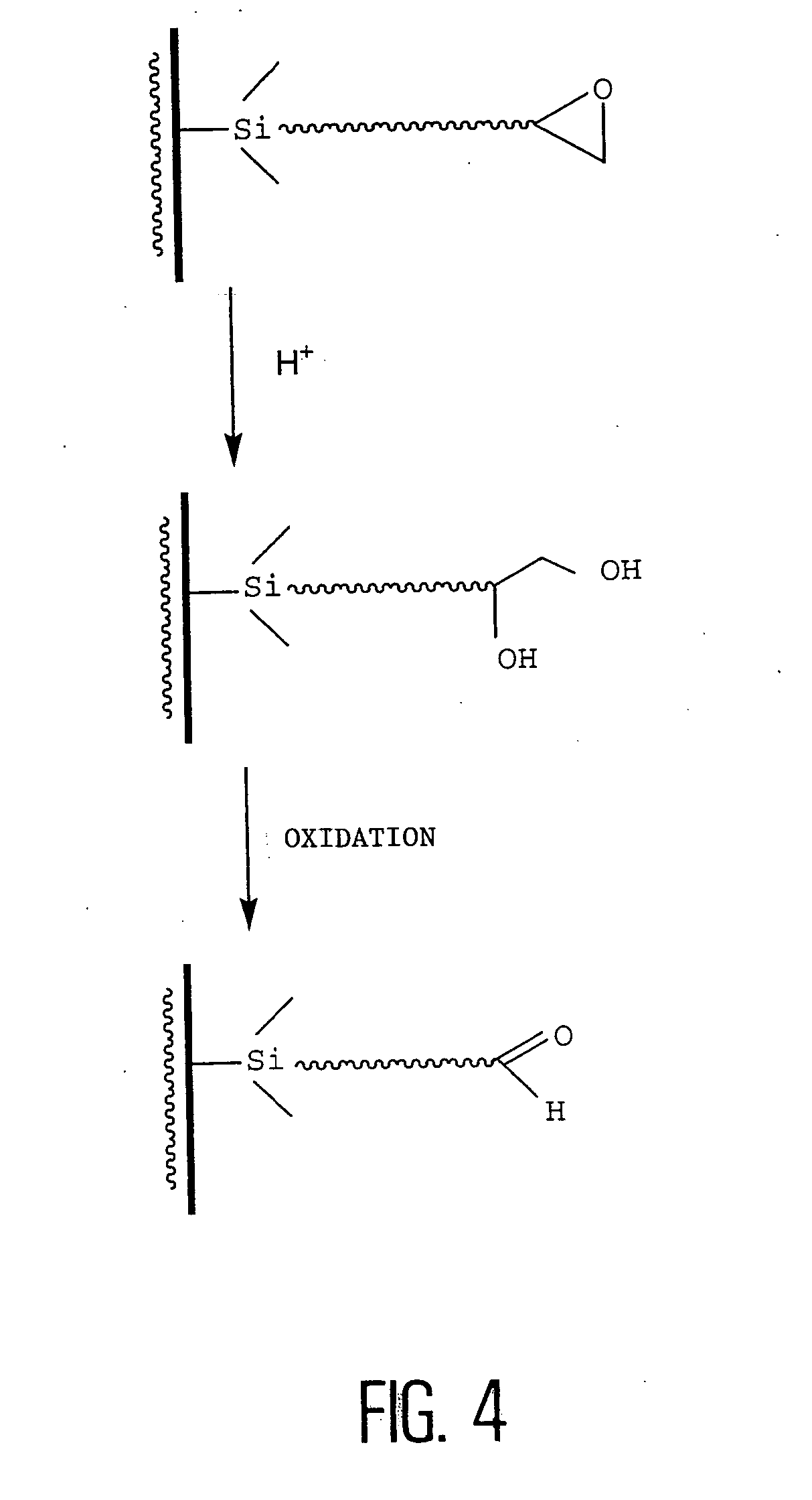 Method of immobilizing probes, in particular for producing bio chips