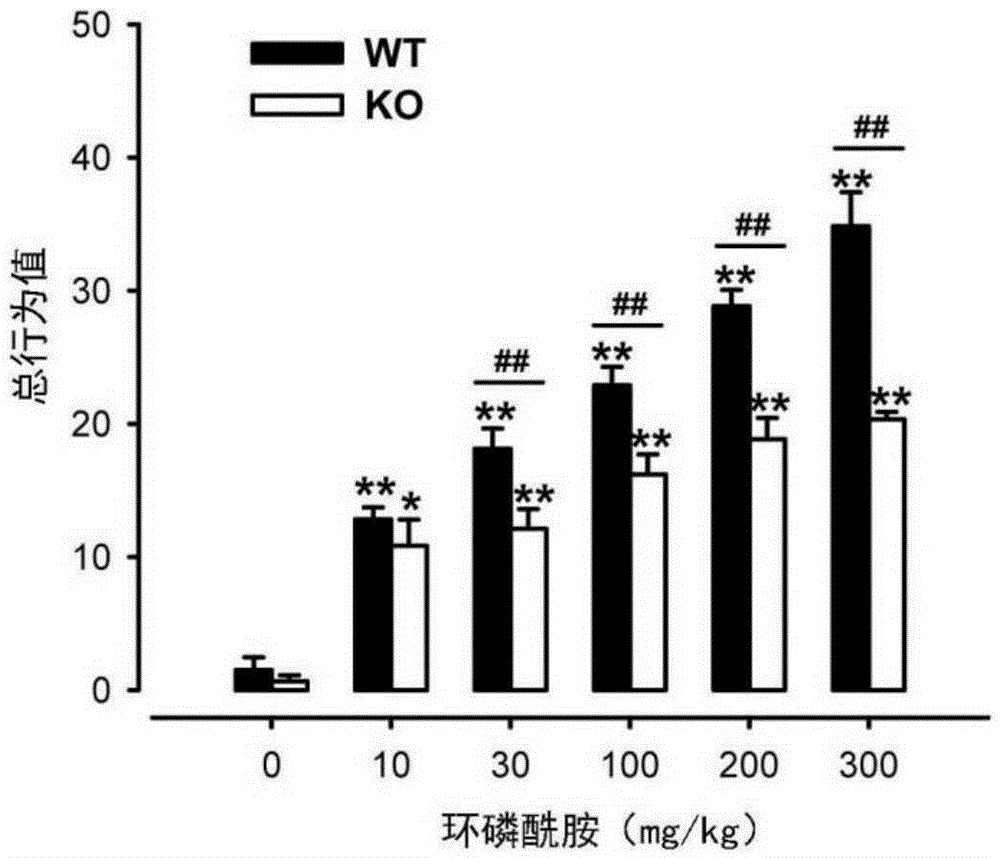 Use of sigma receptor ligands for prevention and treatment of pain associated to interstitial cystitis/bladder pain syndrome (ic/bps)