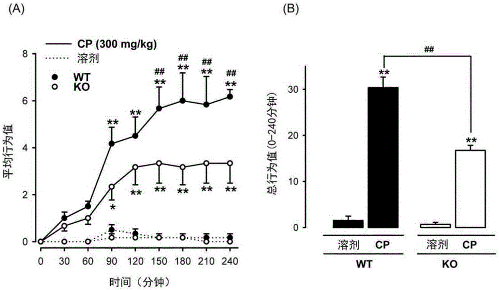 Use of sigma receptor ligands for prevention and treatment of pain associated to interstitial cystitis/bladder pain syndrome (ic/bps)