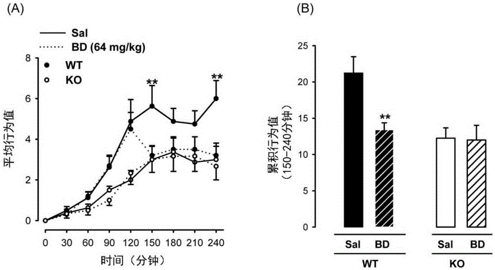 Use of sigma receptor ligands for prevention and treatment of pain associated to interstitial cystitis/bladder pain syndrome (ic/bps)