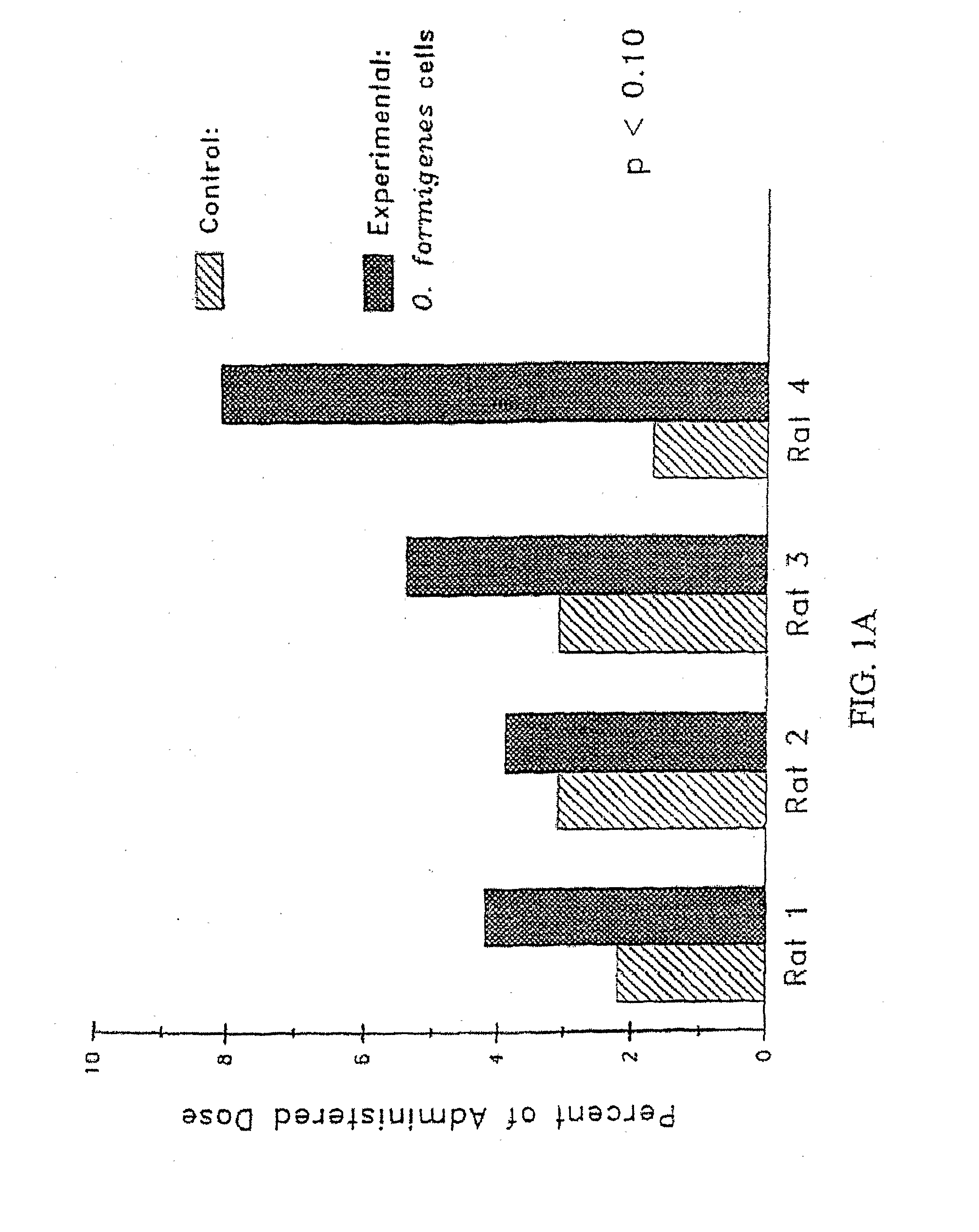 Pharmaceutical Compositions and Methods for Treating or Preventing Oxalate-Related Disease