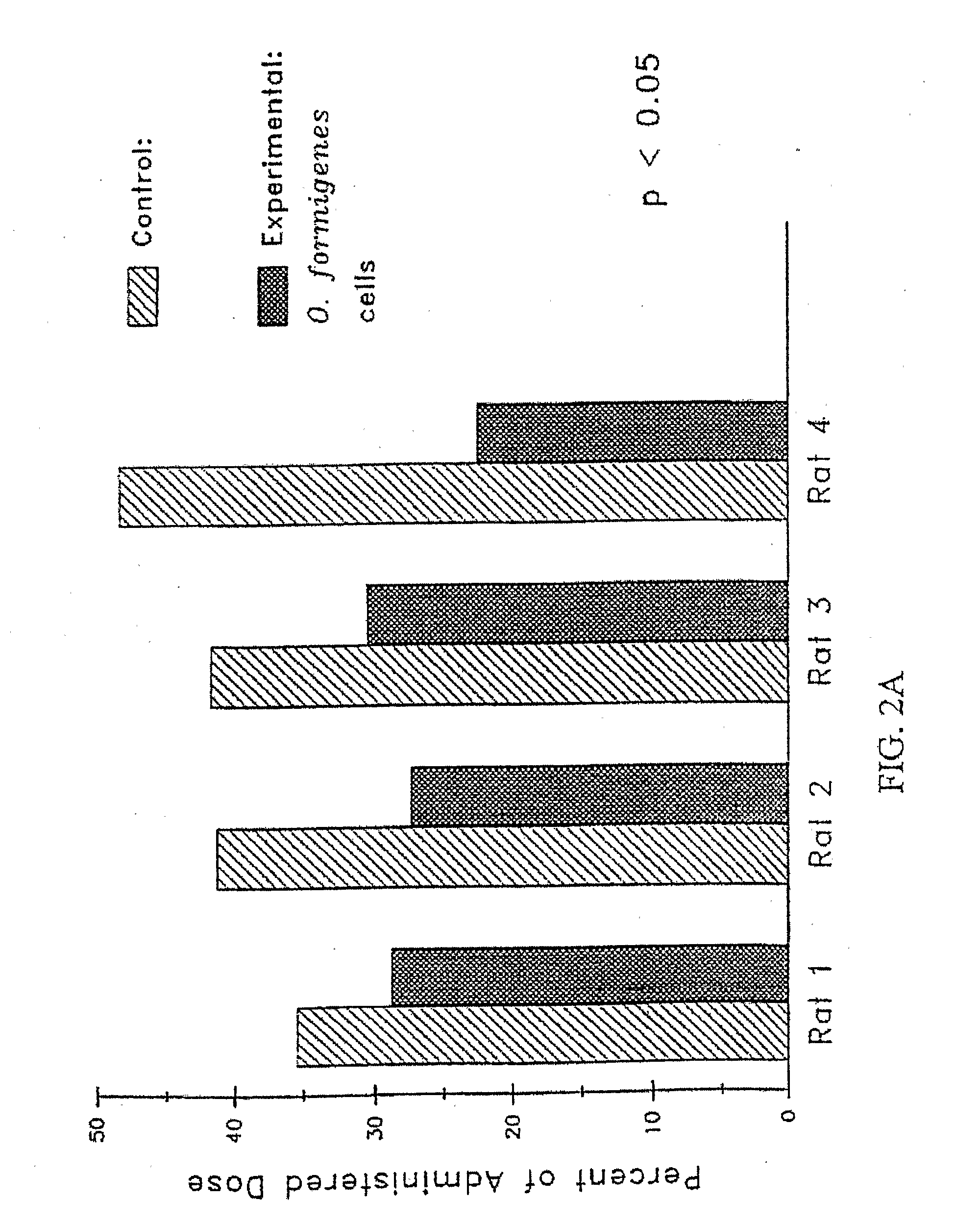 Pharmaceutical Compositions and Methods for Treating or Preventing Oxalate-Related Disease