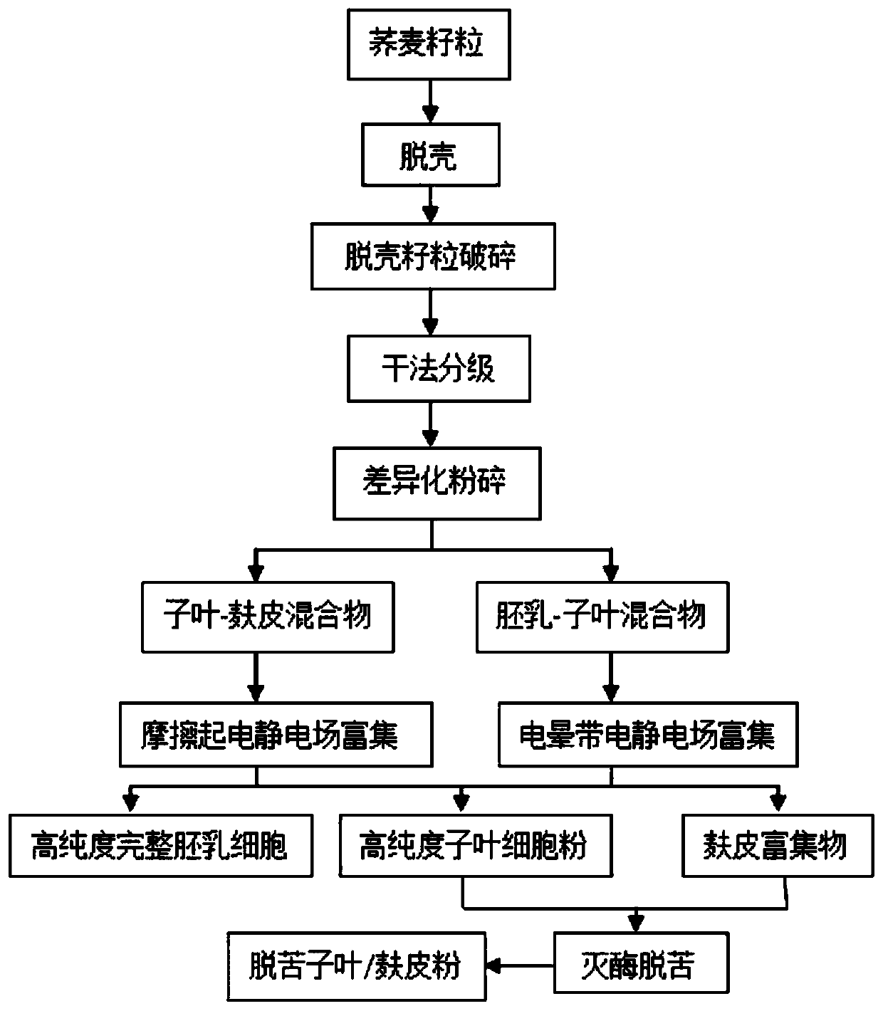 Method for separating buckwheat anti-digestion endosperm cells and cotyledon nutrition powder in electric field