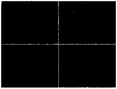 Papaya extract, as well as preparation method and use thereof