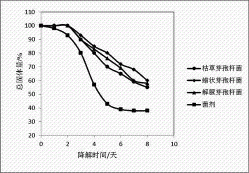 Method for producing organic fertilizer by treating sludge by use of microbial technology