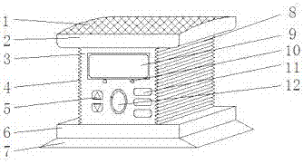 Vehicle-mounted air purifying device