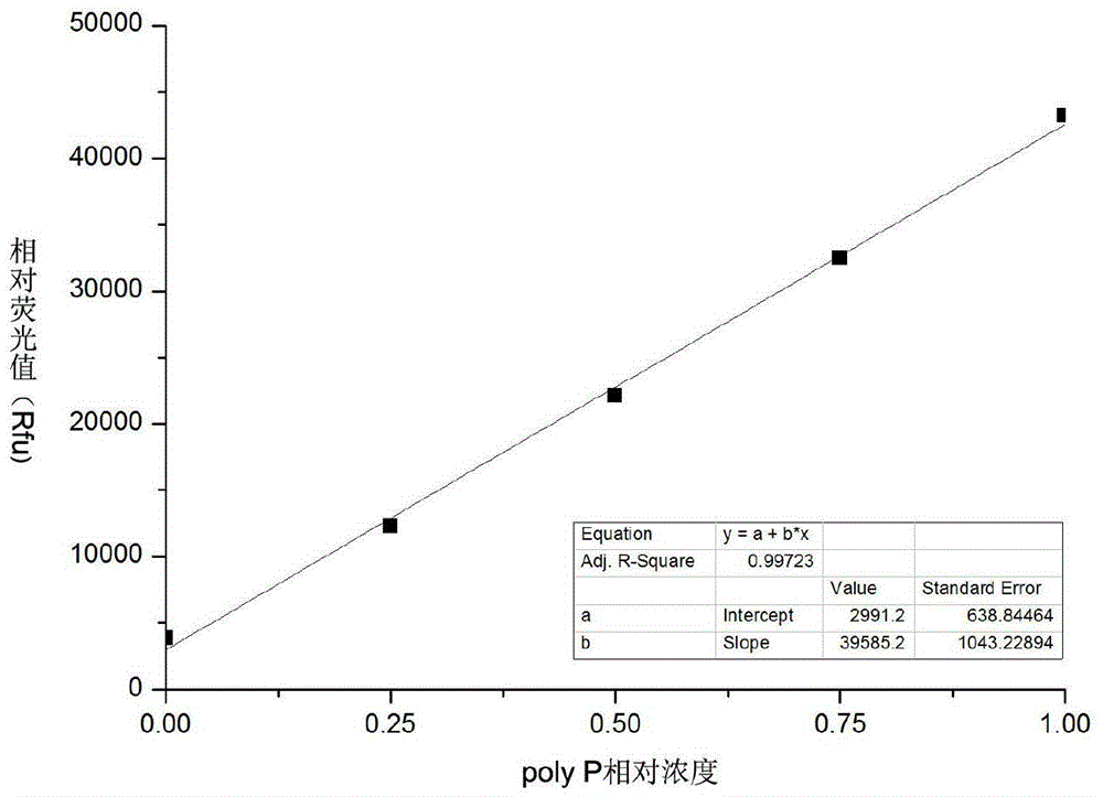 Quantitative detection method of polyphosphate in a kind of microbial cell