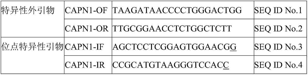 Detection method of three-way crossbred wagyu cattle CAPN1 gene A316G mutation site and application thereof