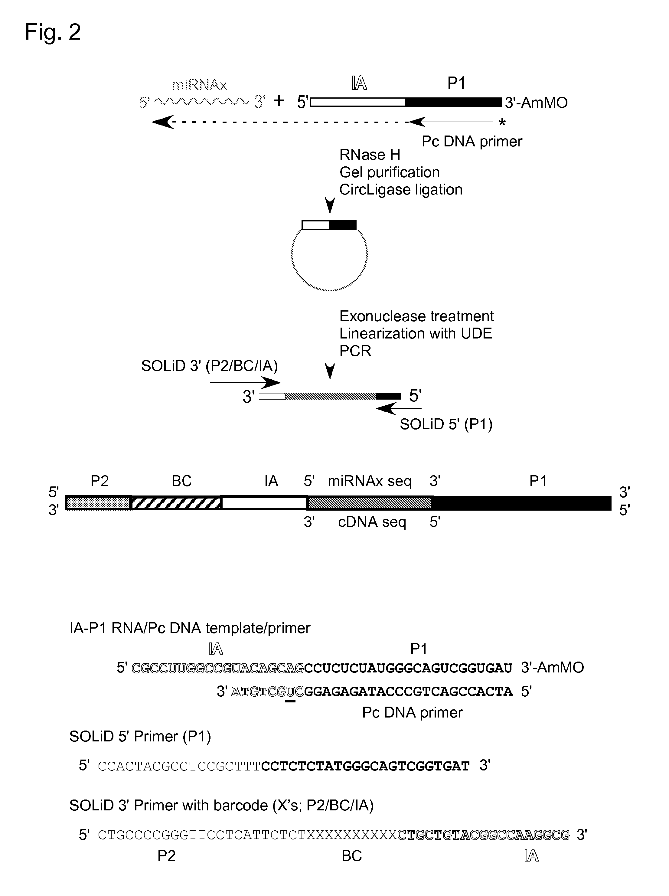 Use of template switching for DNA synthesis