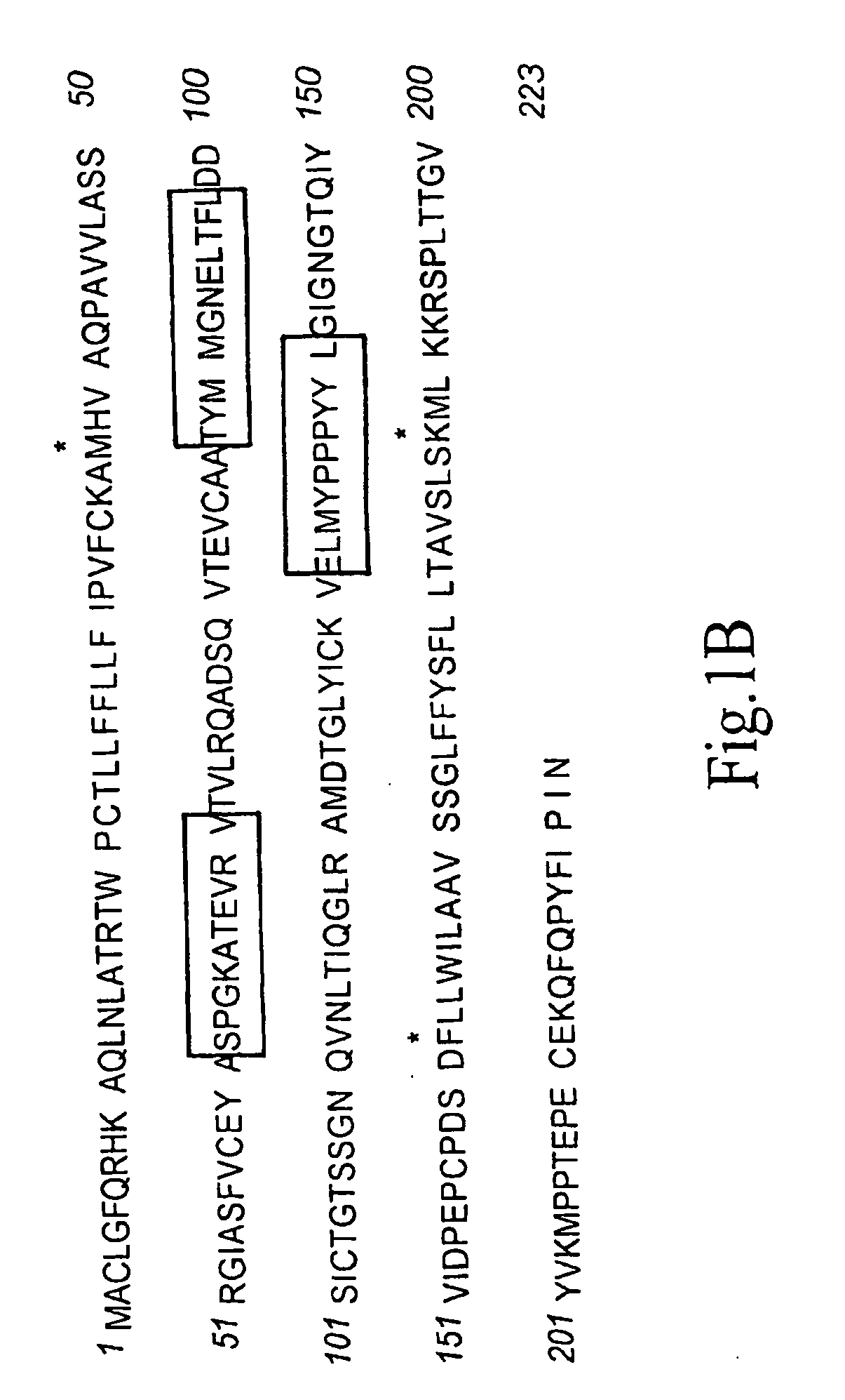 Method for producing human antibodies with properties of agonist, antagonist, or inverse agonist