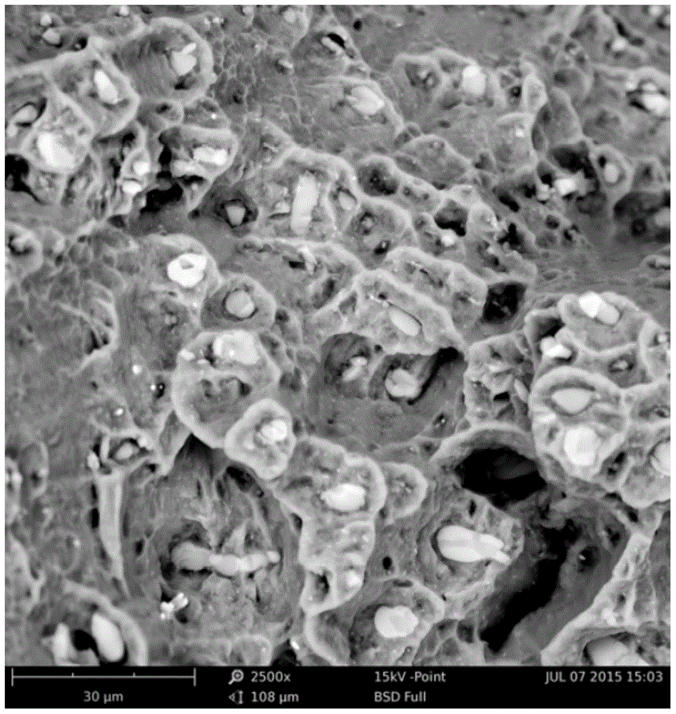 Degradable biomedical mg-nd-sr ​​magnesium alloy and its preparation method and application