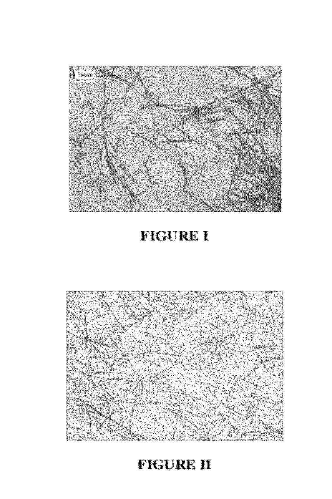 Transparent conductive film comprising water soluble binders