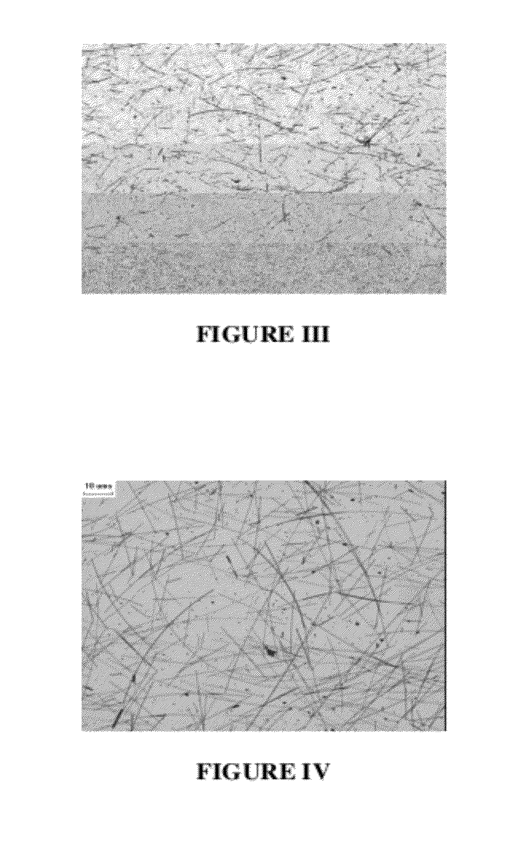Transparent conductive film comprising water soluble binders