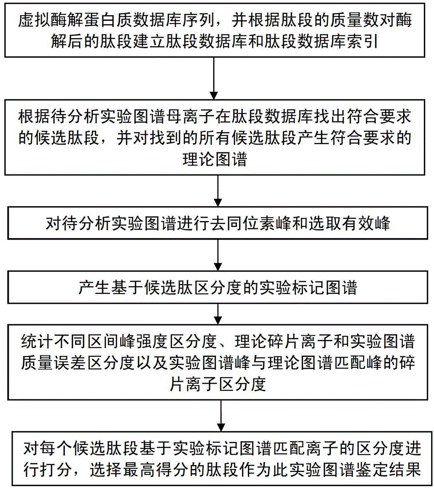 Protein secondary mass spectrum identification method of marker loci based on candidate peptide fragment discrimination