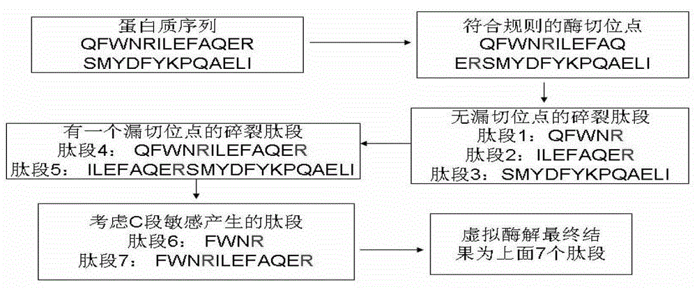 Protein secondary mass spectrum identification method of marker loci based on candidate peptide fragment discrimination