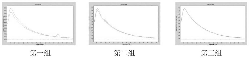 Kit for detecting high-frequency mutation of MMACHC gene by using melting curve