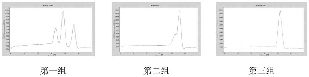 Kit for detecting high-frequency mutation of MMACHC gene by using melting curve