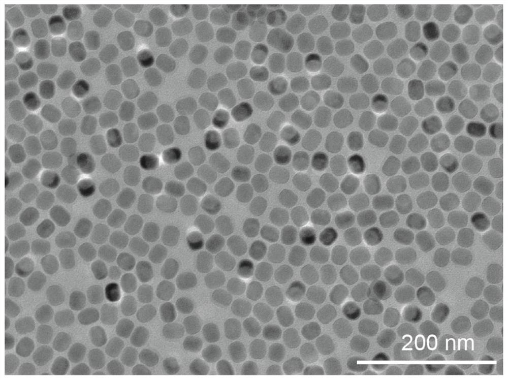 Temperature measurement method based on rare earth luminescence lifetime temperature probe