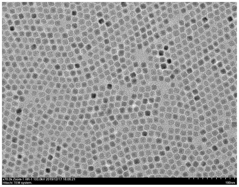 Temperature measurement method based on rare earth luminescence lifetime temperature probe