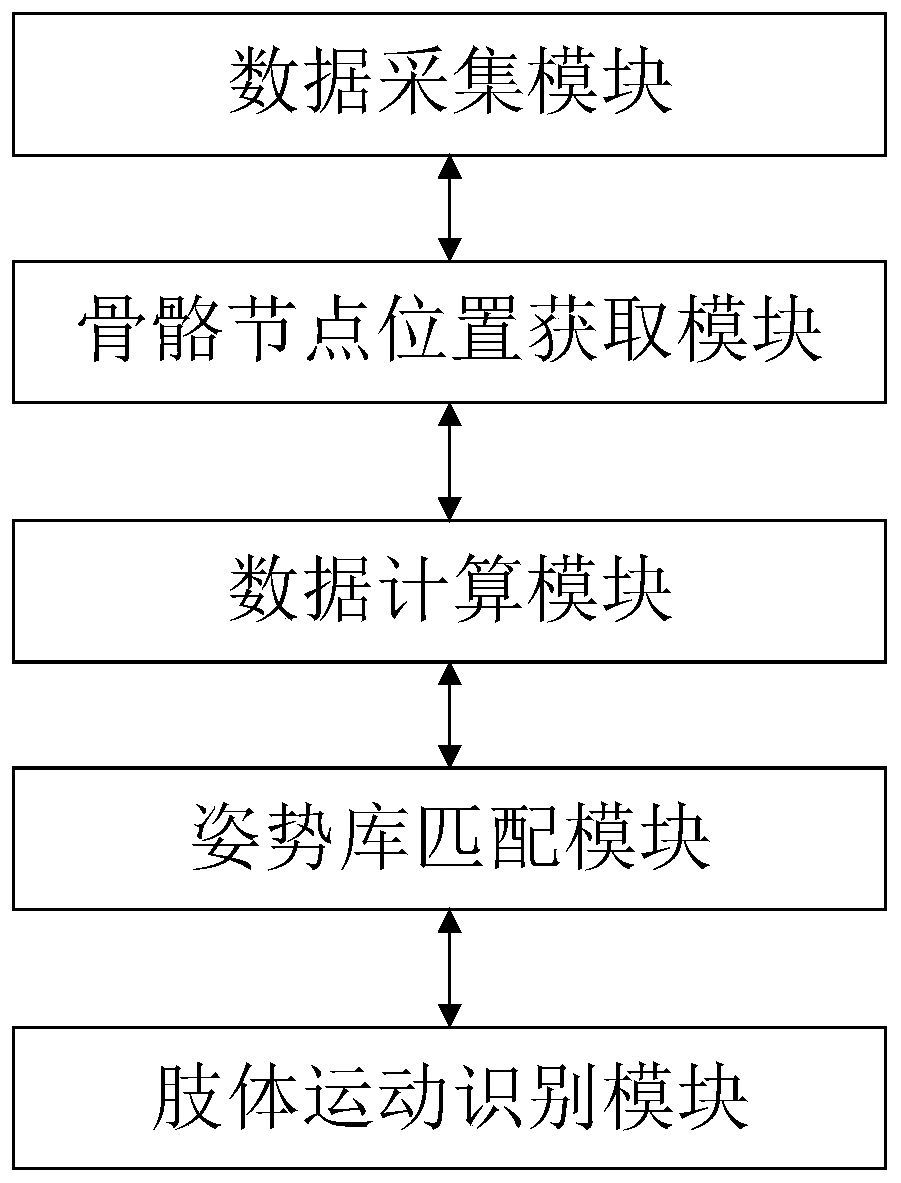 Human body action function detection system, detection method and detector