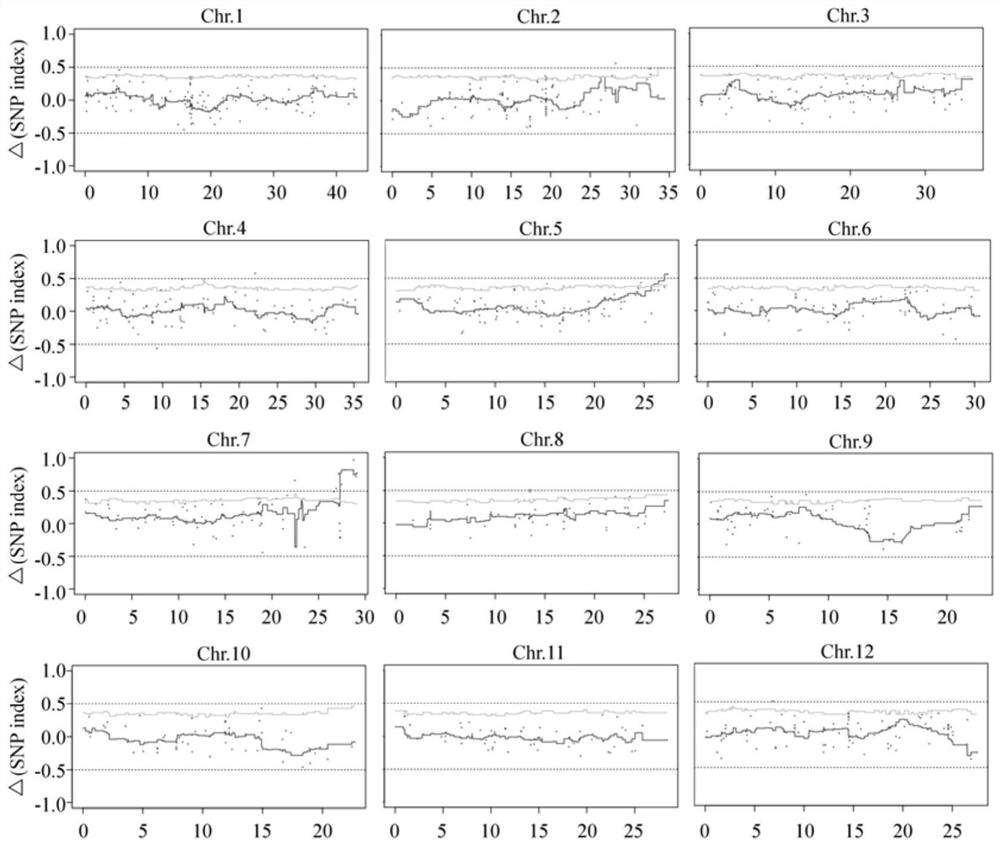 Application of rice potassium ion transport protein gene OsHAK9 in improving seed germination capacity under salt stress