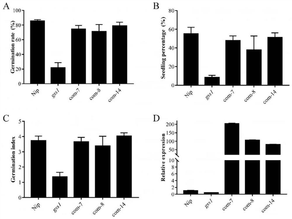 Application of rice potassium ion transport protein gene OsHAK9 in improving seed germination capacity under salt stress