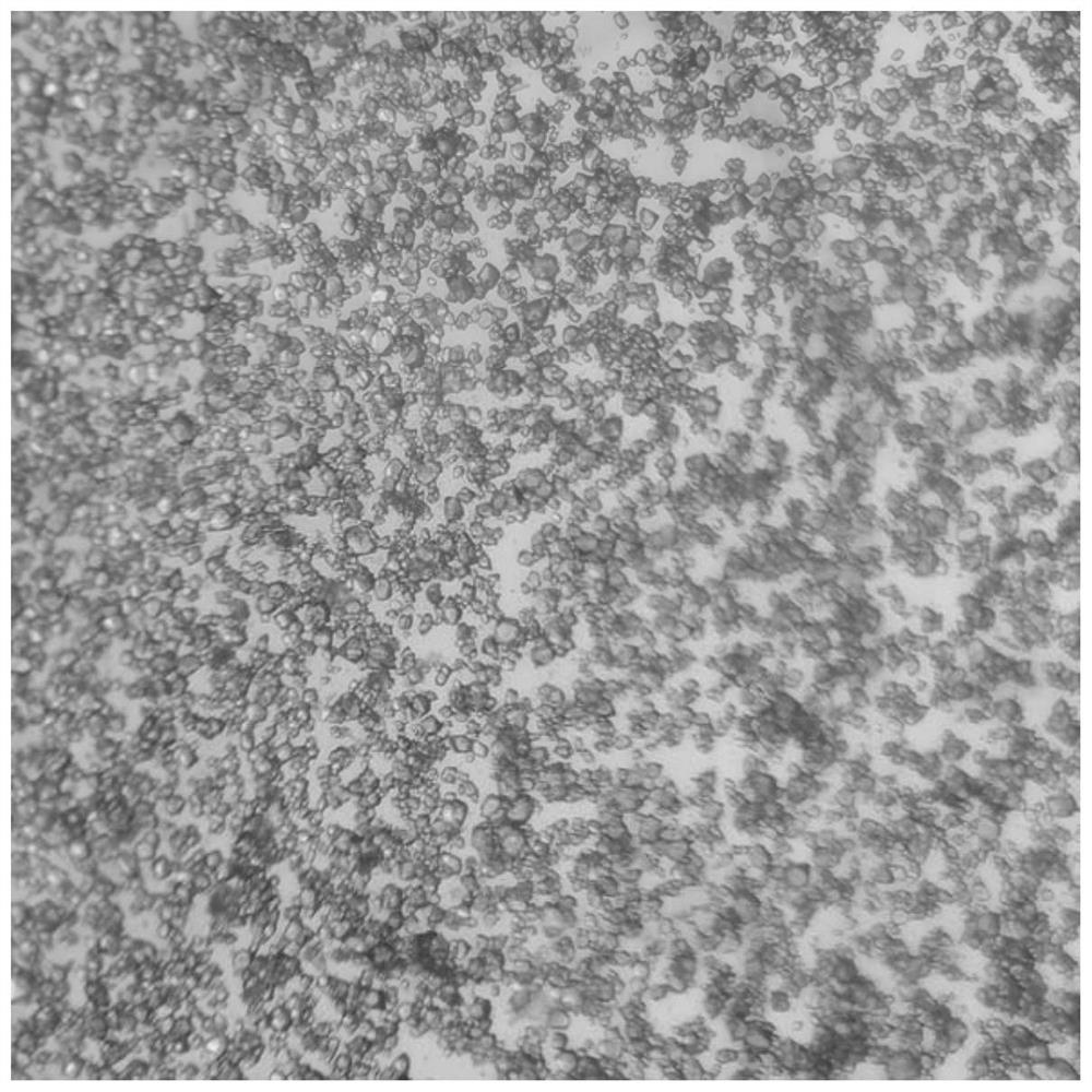 Rigid tetracarboxyl hydrogen bond organic framework material as well as preparation and application thereof