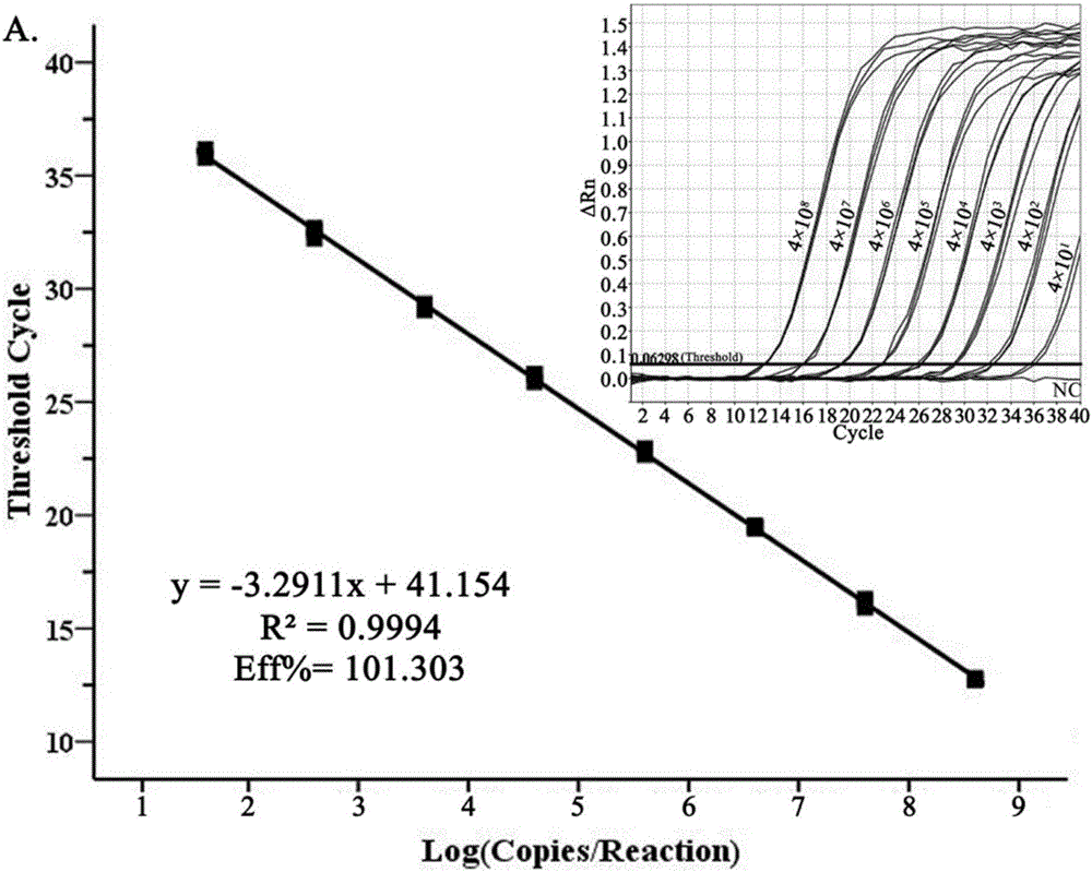 Dual-fluorescence quantitative PCR (Polymerase Chain Reaction) primer, kit and method for simultaneously detecting general type and type 2 Streptococcus suis