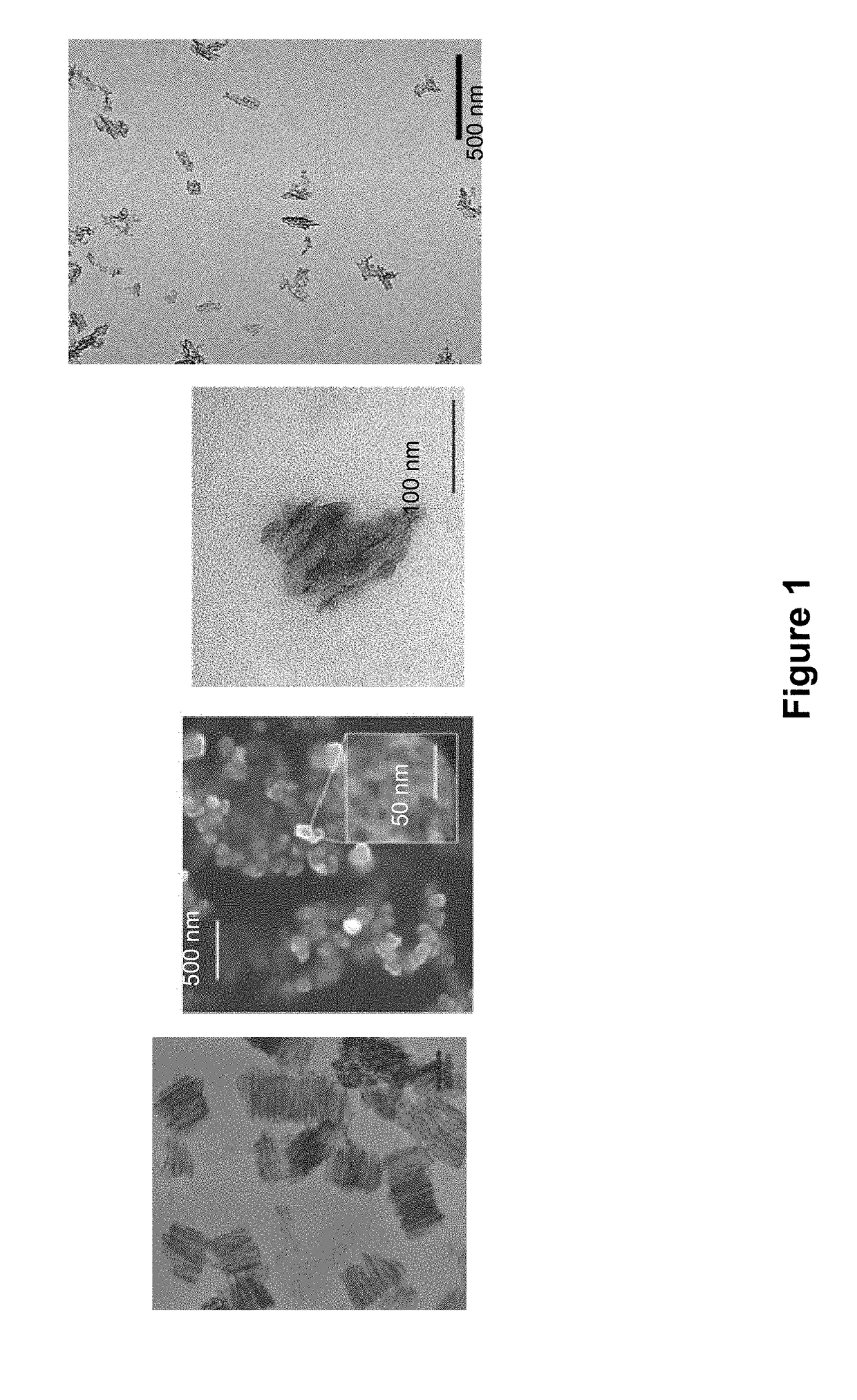 Nanoparticle therapeutics for treating skin inflammatory disorders