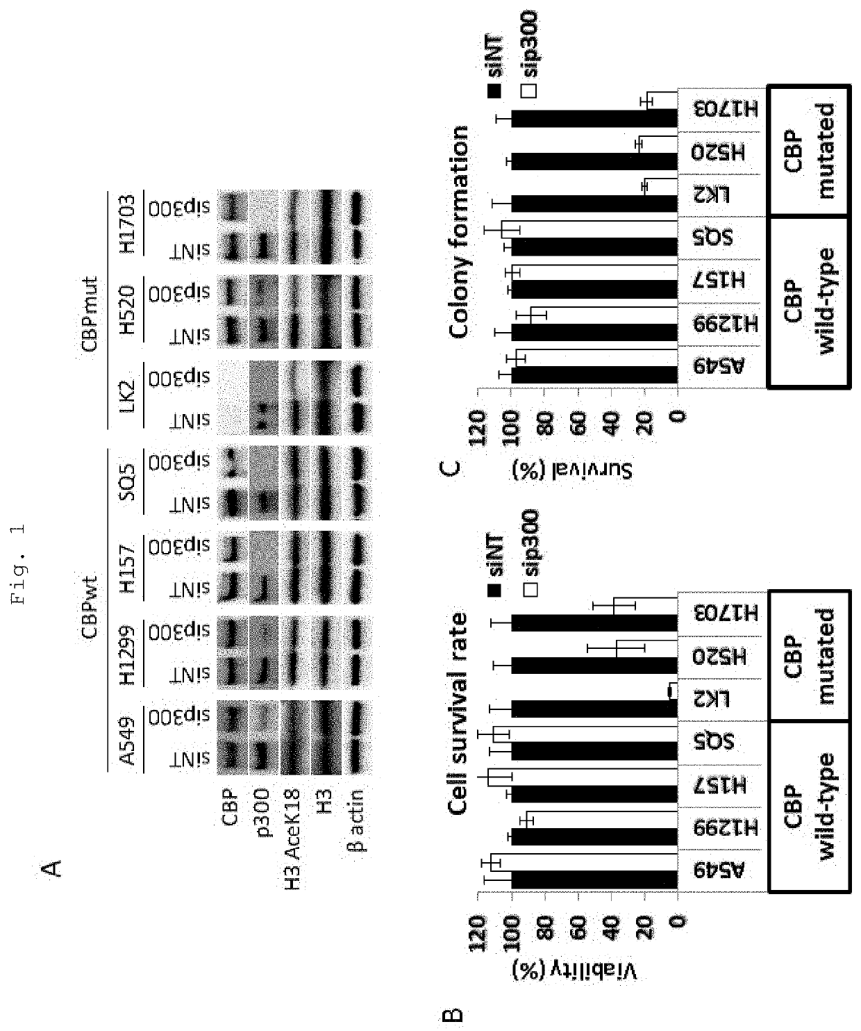 Method for predicting responsiveness to cancer treatment using p300-inhibiting compound