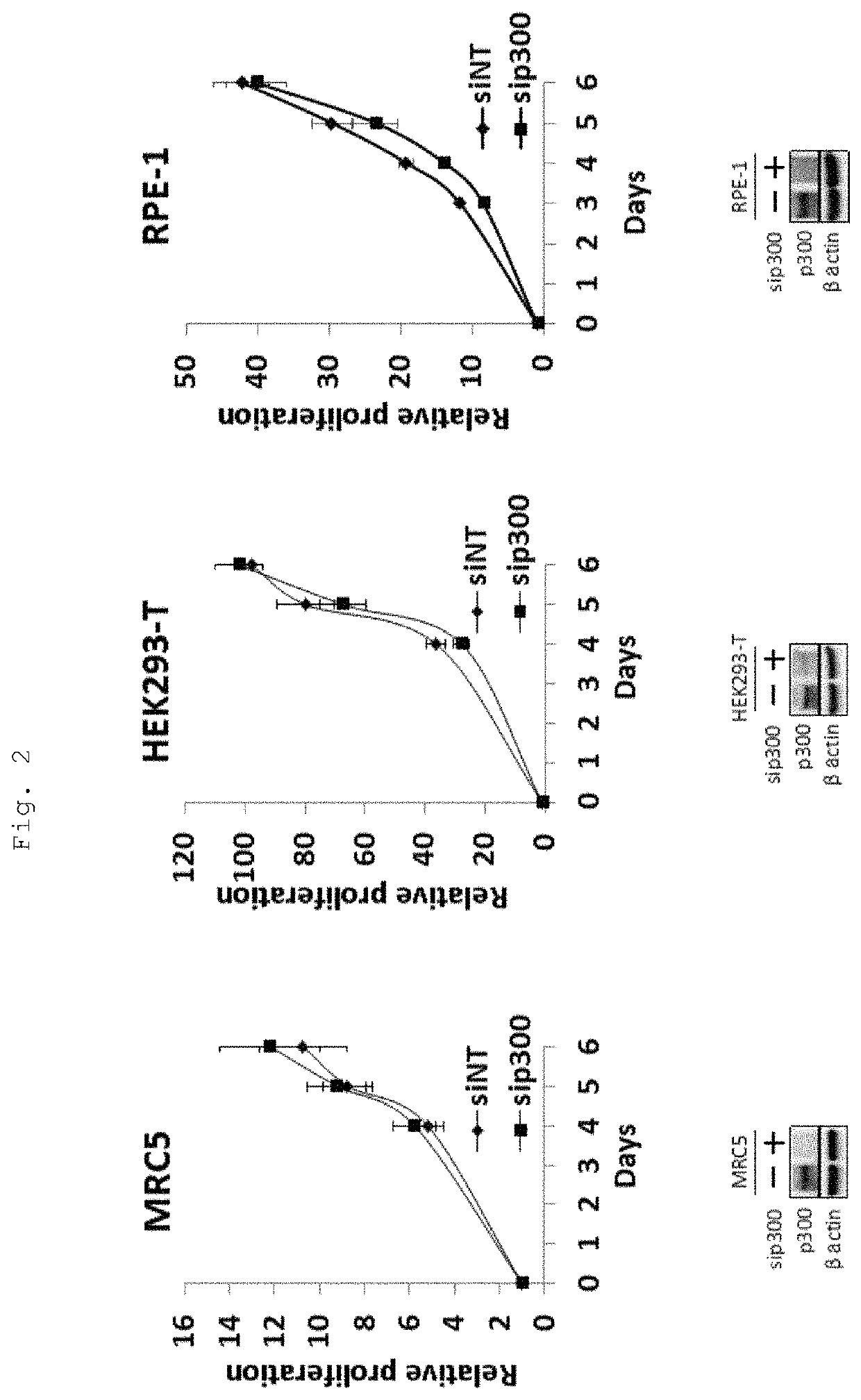 Method for predicting responsiveness to cancer treatment using p300-inhibiting compound