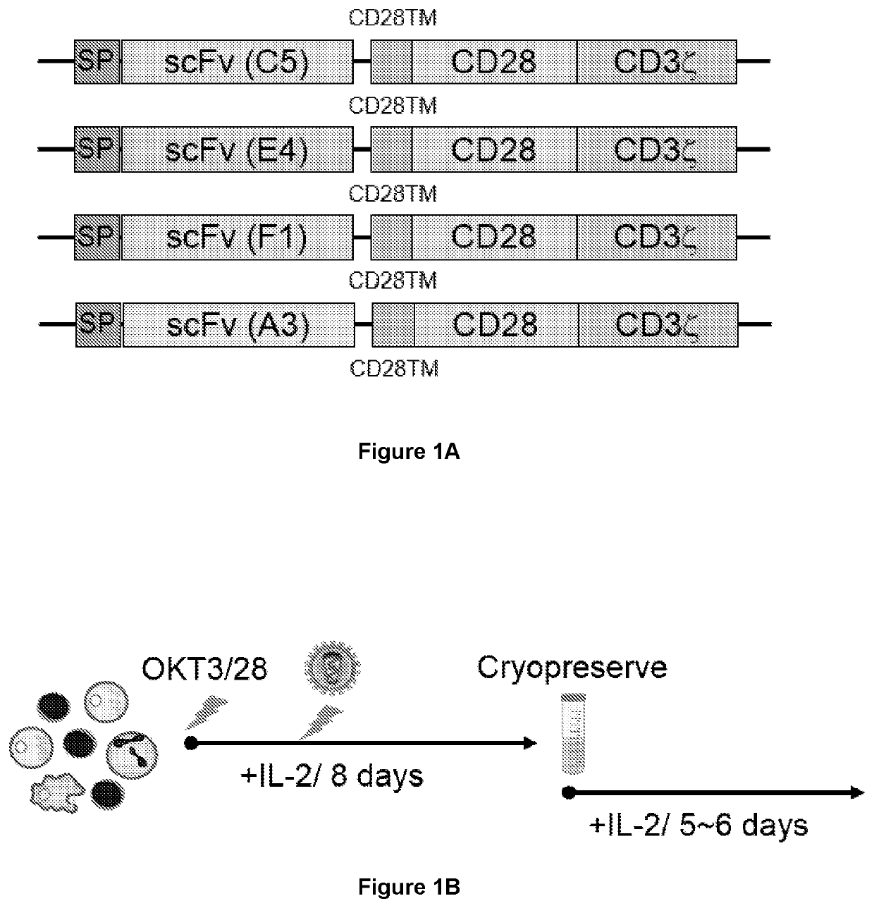 Oncolytic virotherapy and immunotherapy