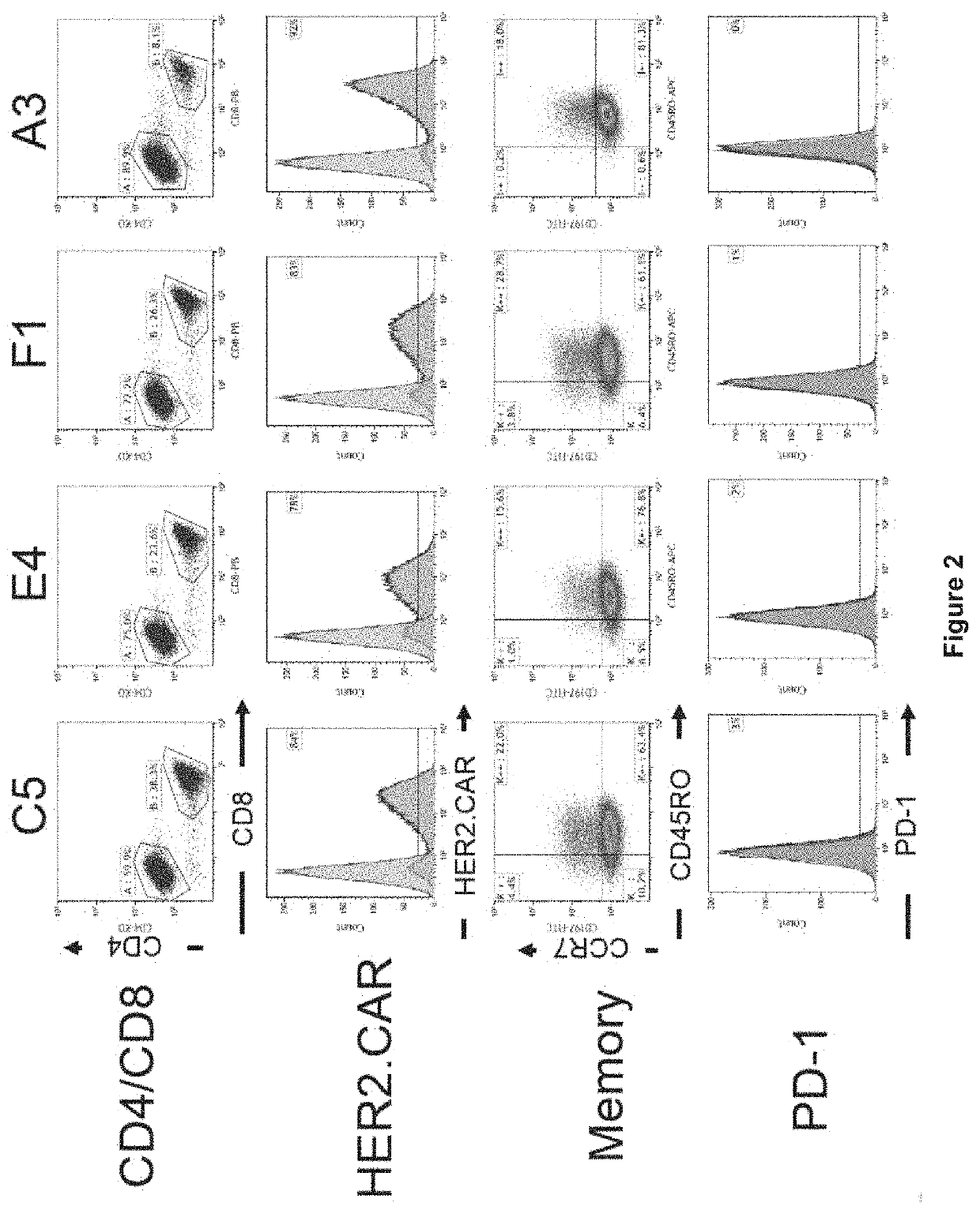 Oncolytic virotherapy and immunotherapy