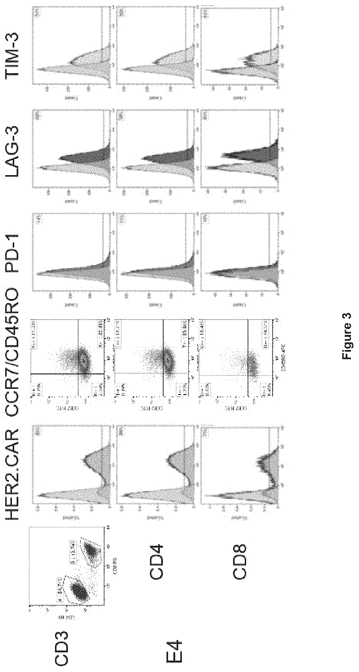 Oncolytic virotherapy and immunotherapy