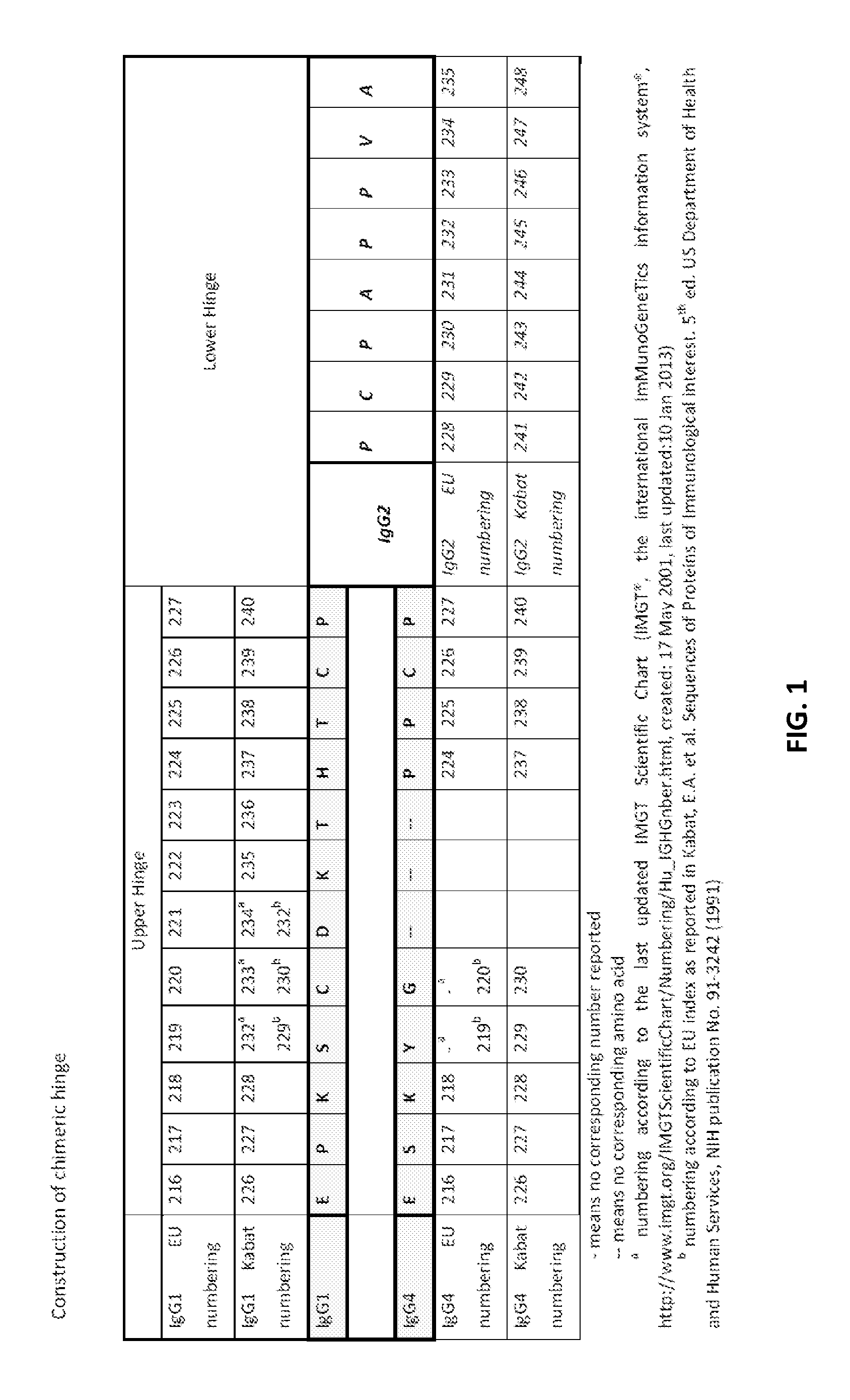 Methods and Antibody Compositions for Tumor Treatment