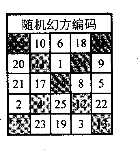 Magic square multifunctional numerical code information anti-counterfeiting label and anti-counterfeiting method