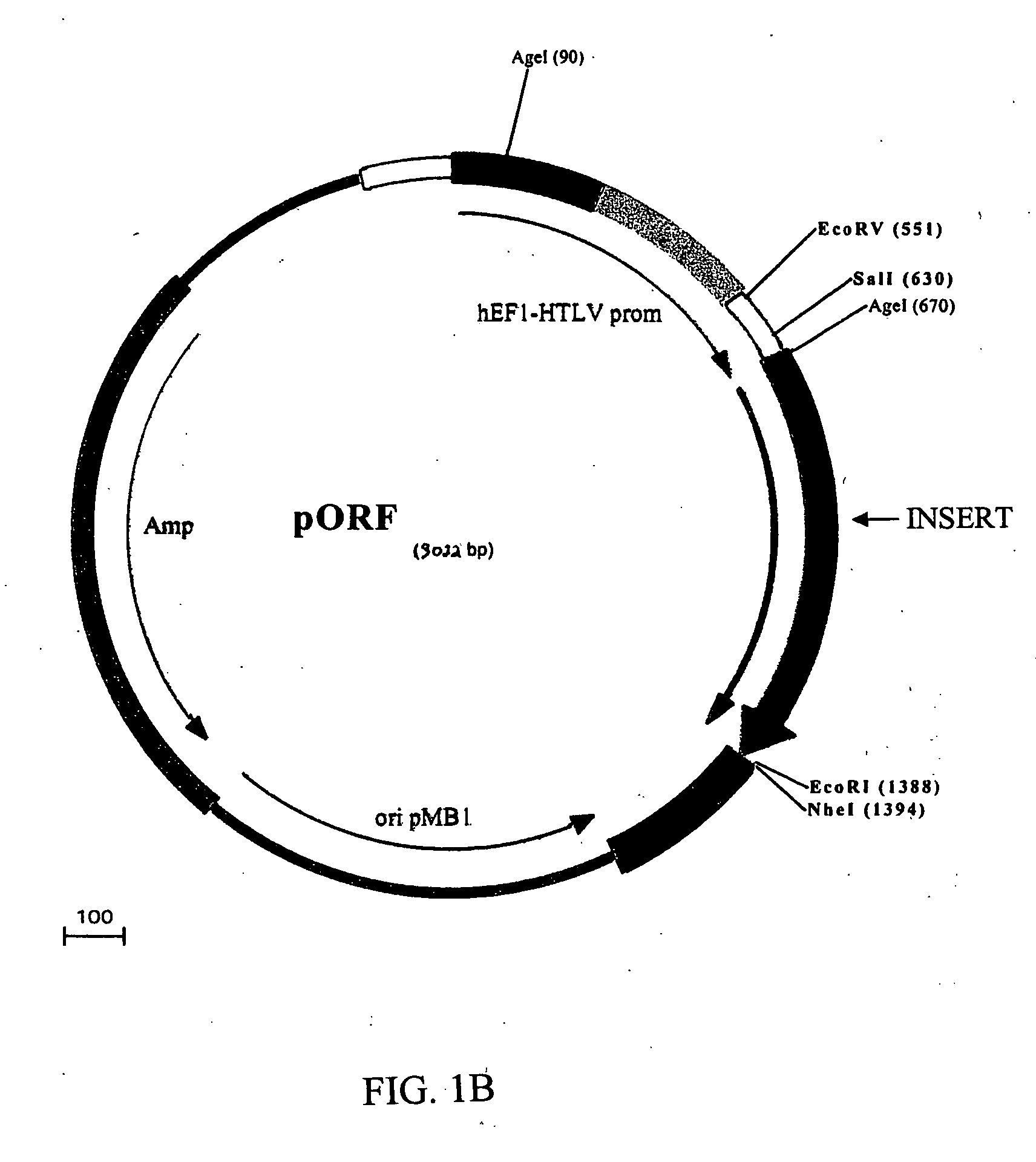 Compositions and methods for combined therapy of disease