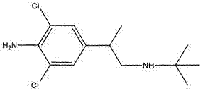 Magnetic particle chemiluminescence detection kit of clenbuterol and preparation method thereof